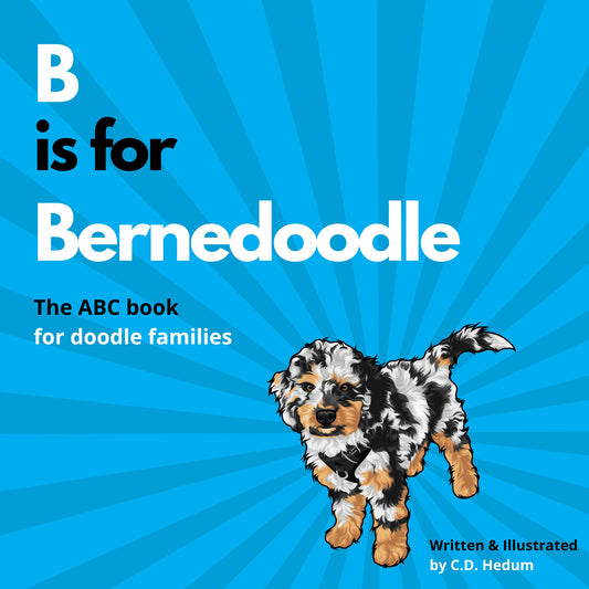 B is for Bernedoodle